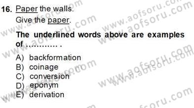 Dilbilim 1 Dersi Ara Sınavı Deneme Sınav Soruları 16. Soru