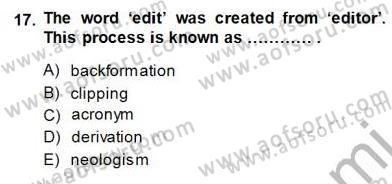 Dilbilim 1 Dersi Ara Sınavı Deneme Sınav Soruları 17. Soru