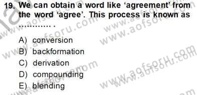 Dilbilim 1 Dersi Ara Sınavı Deneme Sınav Soruları 19. Soru