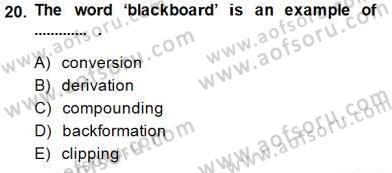 Dilbilim 1 Dersi Ara Sınavı Deneme Sınav Soruları 20. Soru