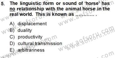 Dilbilim 1 Dersi Ara Sınavı Deneme Sınav Soruları 5. Soru