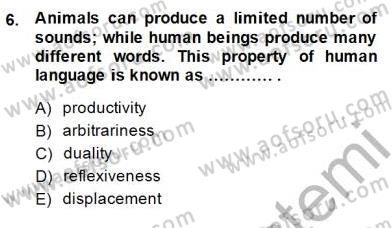 Dilbilim 1 Dersi Ara Sınavı Deneme Sınav Soruları 6. Soru