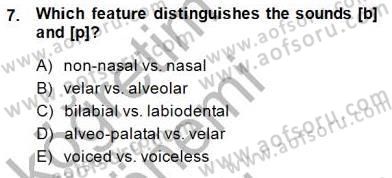 Dilbilim 1 Dersi 2014 - 2015 Yılı (Vize) Ara Sınav Soruları 7. Soru
