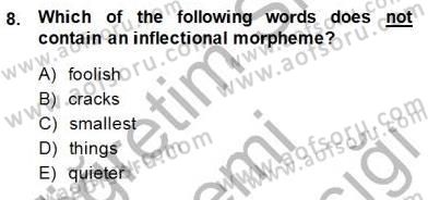 Dilbilim 1 Dersi 2014 - 2015 Yılı (Final) Dönem Sonu Sınav Soruları 8. Soru