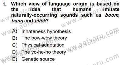 Dilbilim 1 Dersi Ara Sınavı Deneme Sınav Soruları 1. Soru