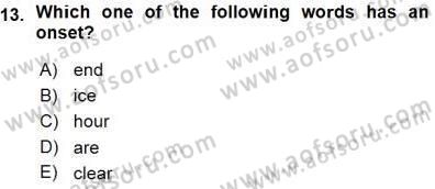 Dilbilim 1 Dersi Ara Sınavı Deneme Sınav Soruları 13. Soru