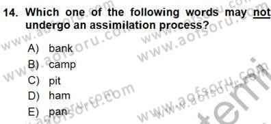 Dilbilim 1 Dersi Ara Sınavı Deneme Sınav Soruları 14. Soru