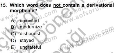 Dilbilim 1 Dersi Ara Sınavı Deneme Sınav Soruları 15. Soru