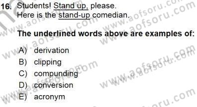 Dilbilim 1 Dersi Ara Sınavı Deneme Sınav Soruları 16. Soru