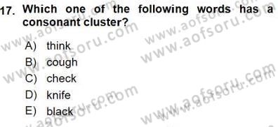 Dilbilim 1 Dersi Ara Sınavı Deneme Sınav Soruları 17. Soru