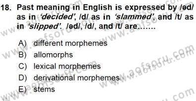 Dilbilim 1 Dersi Ara Sınavı Deneme Sınav Soruları 18. Soru