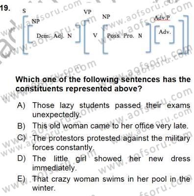 Dilbilim 1 Dersi Ara Sınavı Deneme Sınav Soruları 19. Soru