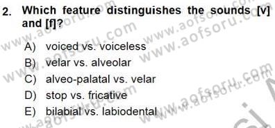 Dilbilim 1 Dersi Ara Sınavı Deneme Sınav Soruları 2. Soru