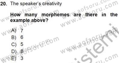 Dilbilim 1 Dersi Ara Sınavı Deneme Sınav Soruları 20. Soru