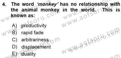 Dilbilim 1 Dersi Ara Sınavı Deneme Sınav Soruları 4. Soru