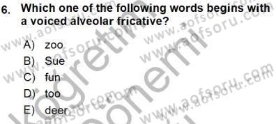 Dilbilim 1 Dersi Ara Sınavı Deneme Sınav Soruları 6. Soru