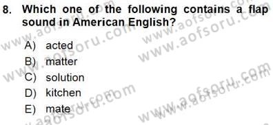 Dilbilim 1 Dersi Ara Sınavı Deneme Sınav Soruları 8. Soru