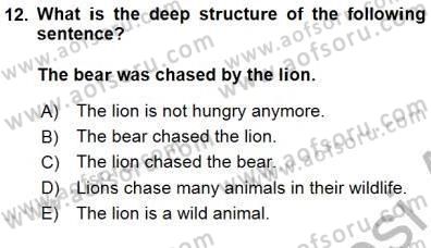 Dilbilim 1 Dersi 2015 - 2016 Yılı (Final) Dönem Sonu Sınav Soruları 12. Soru
