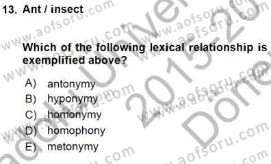 Dilbilim 1 Dersi 2015 - 2016 Yılı (Final) Dönem Sonu Sınav Soruları 13. Soru
