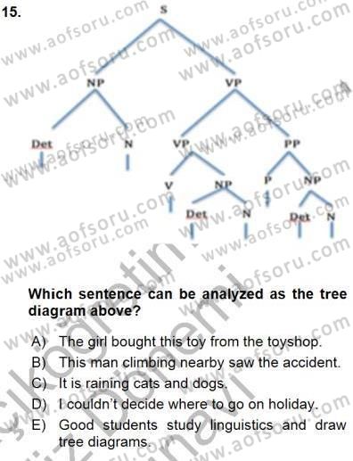 Dilbilim 1 Dersi 2015 - 2016 Yılı (Final) Dönem Sonu Sınav Soruları 15. Soru