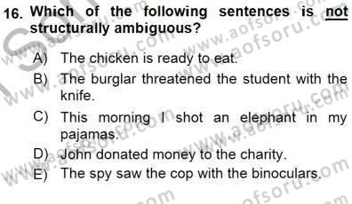 Dilbilim 1 Dersi 2015 - 2016 Yılı (Final) Dönem Sonu Sınav Soruları 16. Soru