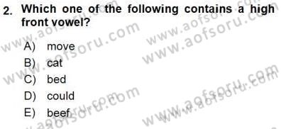 Dilbilim 1 Dersi 2015 - 2016 Yılı (Final) Dönem Sonu Sınav Soruları 2. Soru