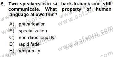 Dilbilim 1 Dersi 2015 - 2016 Yılı (Final) Dönem Sonu Sınav Soruları 5. Soru