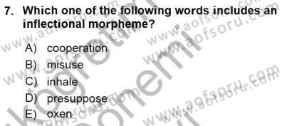 Dilbilim 1 Dersi 2015 - 2016 Yılı (Final) Dönem Sonu Sınav Soruları 7. Soru