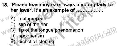 Dilbilim 2 Dersi 2012 - 2013 Yılı (Vize) Ara Sınav Soruları 18. Soru