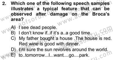 Dilbilim 2 Dersi 2012 - 2013 Yılı (Vize) Ara Sınav Soruları 2. Soru