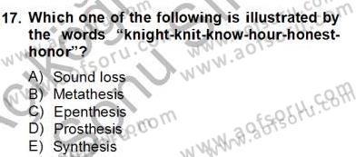 Dilbilim 2 Dersi 2012 - 2013 Yılı (Final) Dönem Sonu Sınavı 17. Soru