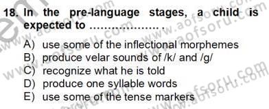Dilbilim 2 Dersi 2012 - 2013 Yılı (Final) Dönem Sonu Sınavı 18. Soru