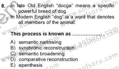 Dilbilim 2 Dersi 2012 - 2013 Yılı (Final) Dönem Sonu Sınavı 8. Soru