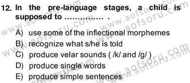 Dilbilim 2 Dersi 2013 - 2014 Yılı (Vize) Ara Sınav Soruları 12. Soru