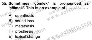 Dilbilim 2 Dersi 2013 - 2014 Yılı (Vize) Ara Sınav Soruları 20. Soru