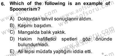Dilbilim 2 Dersi 2013 - 2014 Yılı (Vize) Ara Sınav Soruları 6. Soru