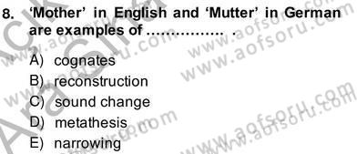 Dilbilim 2 Dersi 2013 - 2014 Yılı (Vize) Ara Sınavı 8. Soru