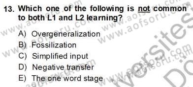 Dilbilim 2 Dersi 2013 - 2014 Yılı (Final) Dönem Sonu Sınav Soruları 13. Soru