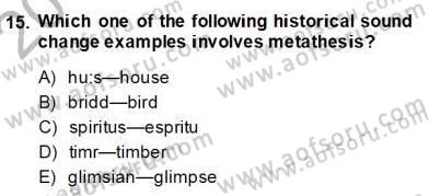 Dilbilim 2 Dersi 2013 - 2014 Yılı (Final) Dönem Sonu Sınav Soruları 15. Soru