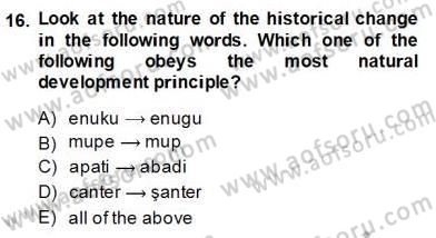 Dilbilim 2 Dersi 2013 - 2014 Yılı (Final) Dönem Sonu Sınav Soruları 16. Soru