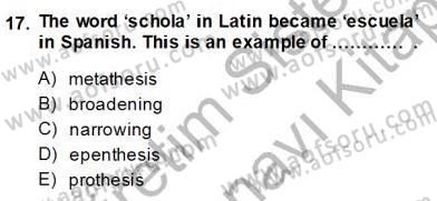 Dilbilim 2 Dersi 2013 - 2014 Yılı (Final) Dönem Sonu Sınav Soruları 17. Soru