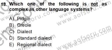 Dilbilim 2 Dersi 2013 - 2014 Yılı (Final) Dönem Sonu Sınav Soruları 18. Soru