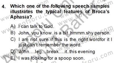 Dilbilim 2 Dersi 2013 - 2014 Yılı (Final) Dönem Sonu Sınav Soruları 4. Soru