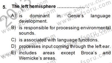 Dilbilim 2 Dersi 2013 - 2014 Yılı (Final) Dönem Sonu Sınav Soruları 5. Soru
