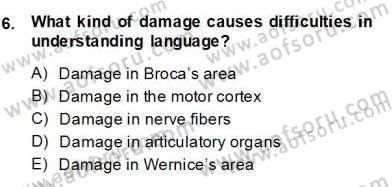 Dilbilim 2 Dersi 2013 - 2014 Yılı (Final) Dönem Sonu Sınav Soruları 6. Soru