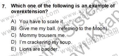 Dilbilim 2 Dersi 2013 - 2014 Yılı (Final) Dönem Sonu Sınav Soruları 7. Soru