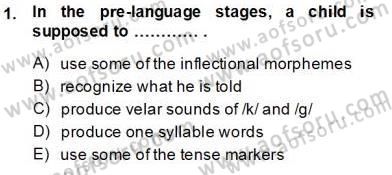 Dilbilim 2 Dersi 2013 - 2014 Yılı Tek Ders Sınav Soruları 1. Soru