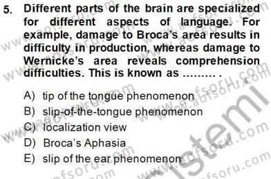 Dilbilim 2 Dersi 2014 - 2015 Yılı (Vize) Ara Sınavı 5. Soru