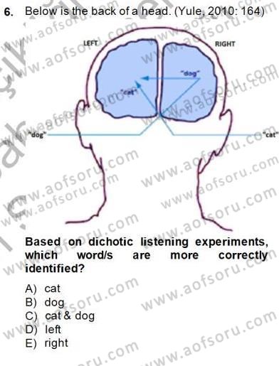 Dilbilim 2 Dersi 2014 - 2015 Yılı (Vize) Ara Sınavı 6. Soru
