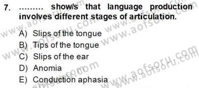 Dilbilim 2 Dersi 2014 - 2015 Yılı (Vize) Ara Sınavı 7. Soru